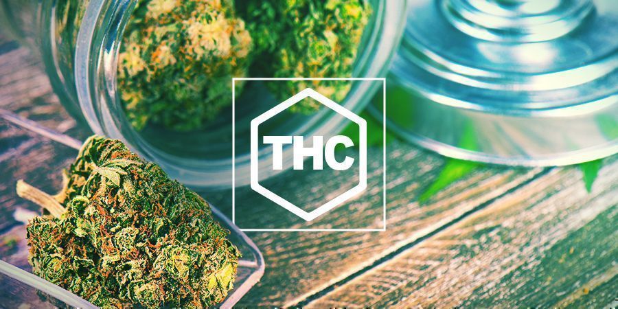 Todo Lo Que Debes Saber Sobre El THC - Cómo Cultivar Marihuana